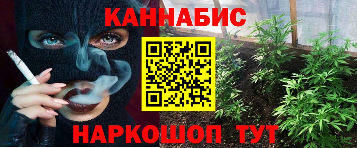 Конопля OG Kush  МАРИХУАНА сатива  Вход с VPN  Марихуана VHQ  Екатеринбург 